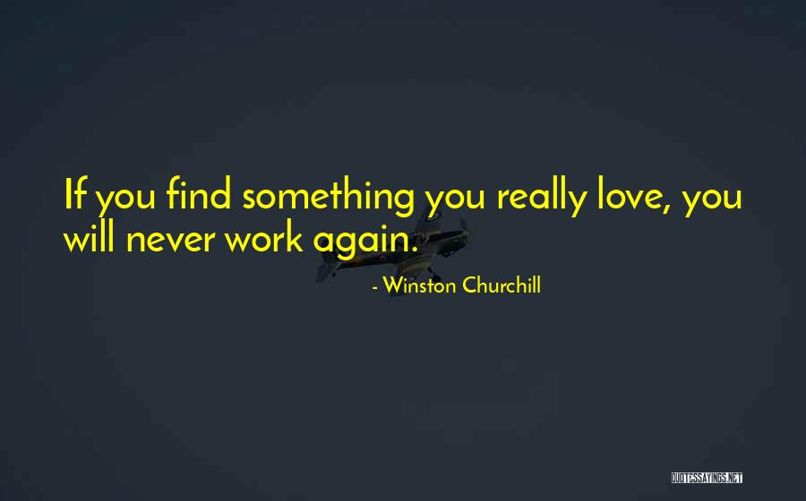 If You Really Love Something Quotes By Winston Churchill