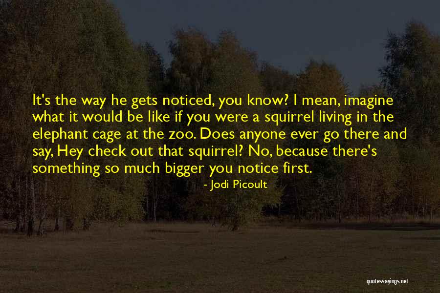 If You Say Something Mean It Quotes By Jodi Picoult If You Say Something Mean It Quotes By Jodi Picoult