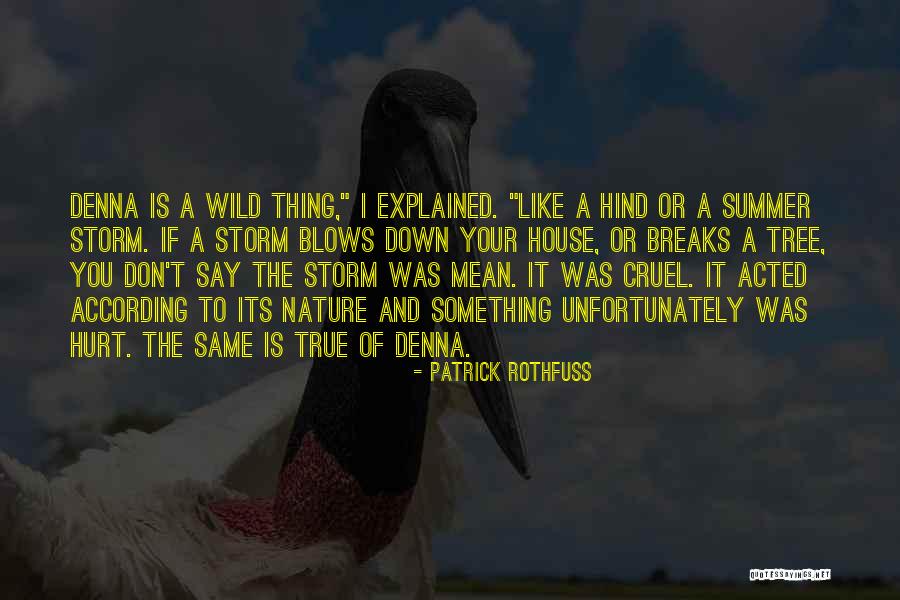 If You Say Something Mean It Quotes By Patrick Rothfuss If You Say Something Mean It Quotes By Patrick Rothfuss