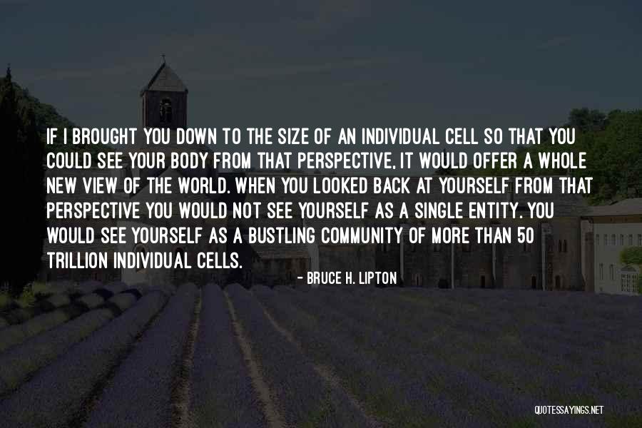 If You Single Quotes By Bruce H. Lipton If You Single Quotes By Bruce H. Lipton