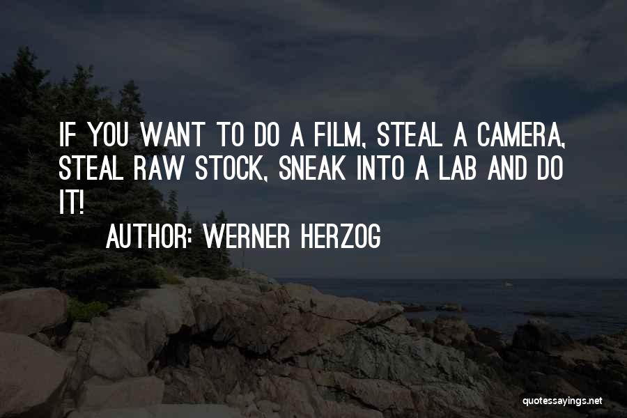If You Steal Quotes By Werner Herzog