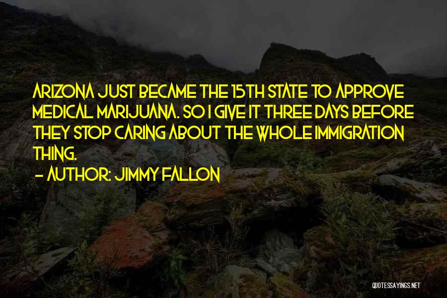 If You Stop Caring Quotes By Jimmy Fallon