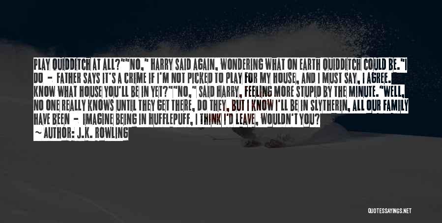 If You Think I'm Stupid Quotes By J.K. Rowling