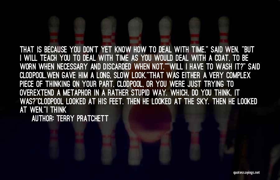 If You Think I'm Stupid Quotes By Terry Pratchett