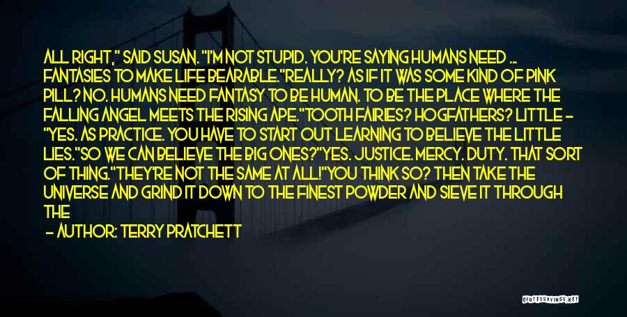 If You Think I'm Stupid Quotes By Terry Pratchett