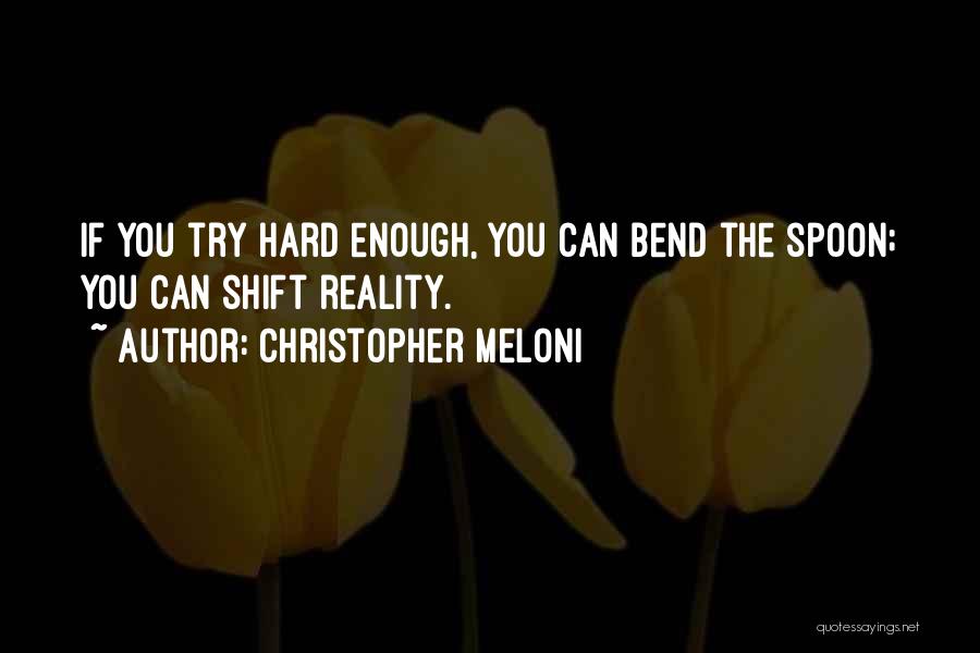 If You Try Hard Enough Quotes By Christopher Meloni