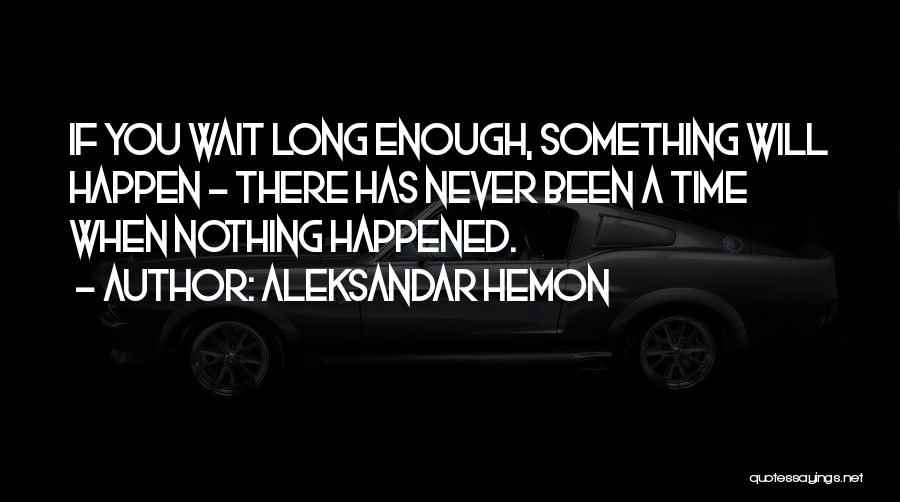 If You Wait Quotes By Aleksandar Hemon