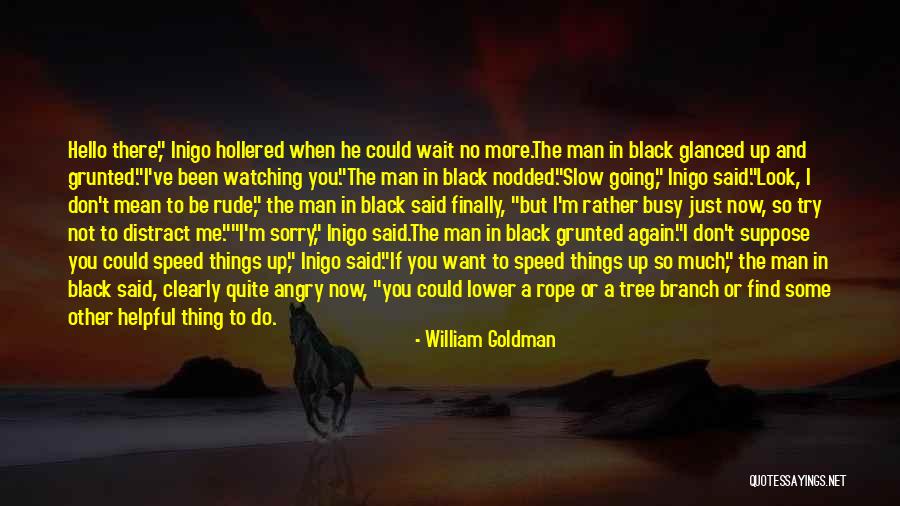 If You Want Me To Wait Quotes By William Goldman