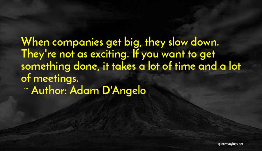 If You Want Something Done Quotes By Adam D'Angelo