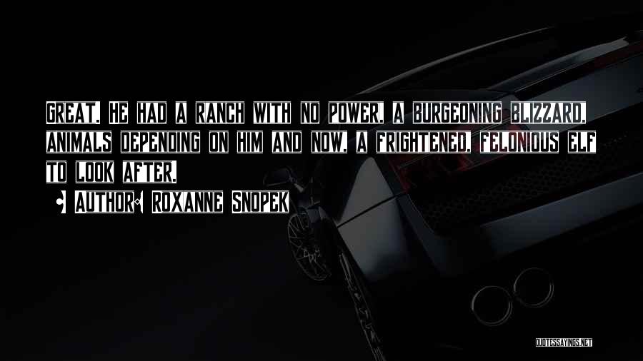 If You Want Something Go After It Quotes By Roxanne Snopek