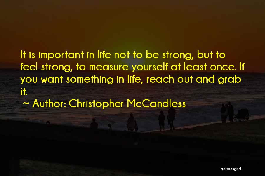 If You Want Something In Life Quotes By Christopher McCandless