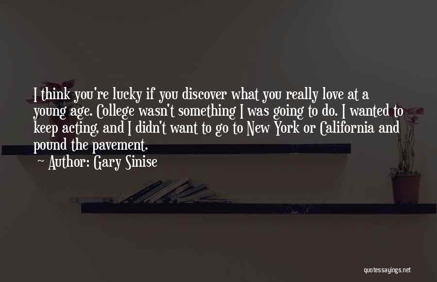 If You Want Something New Quotes By Gary Sinise