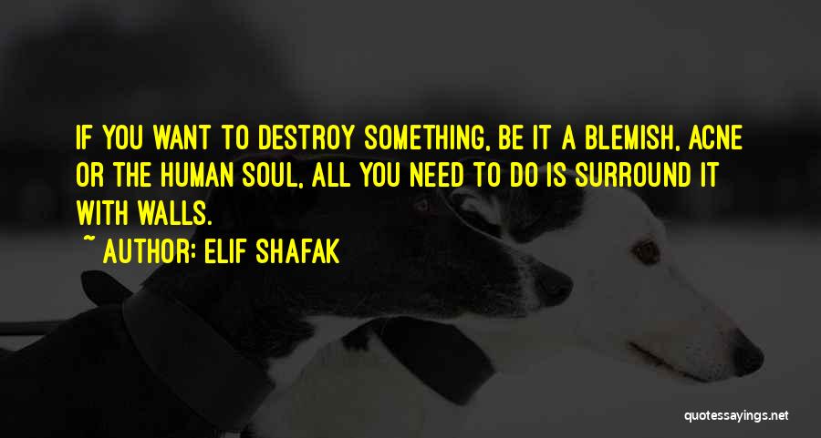 If You Want Something Quotes By Elif Shafak