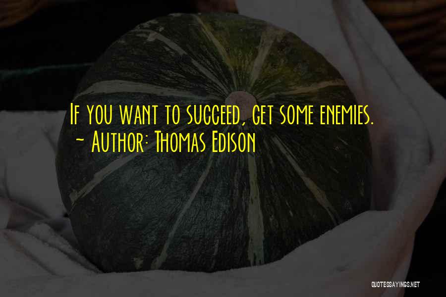 If You Want Success Quotes By Thomas Edison