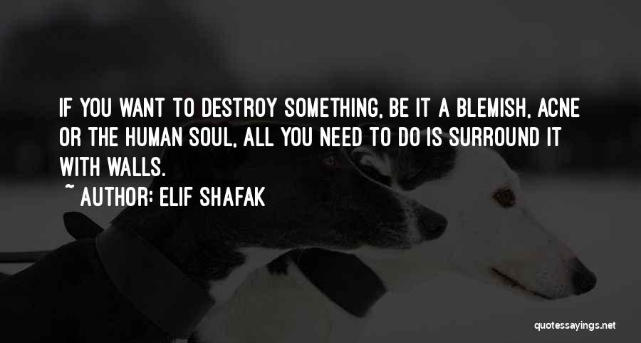 If You Want To Do Something Quotes By Elif Shafak