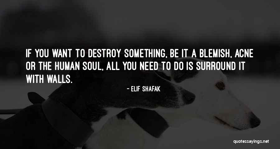 If You Want To Do Something Quotes By Elif Shafak