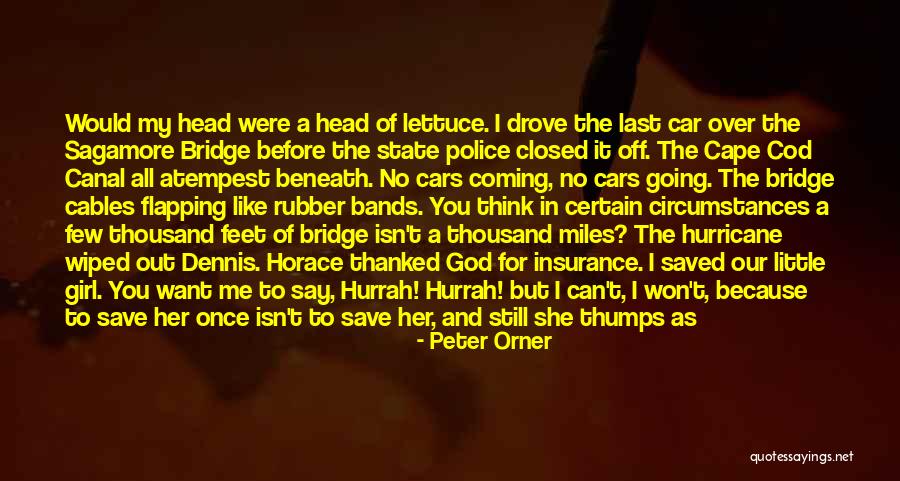 If You Want To Say Something Quotes By Peter Orner If You Want To Say Something Quotes By Peter Orner