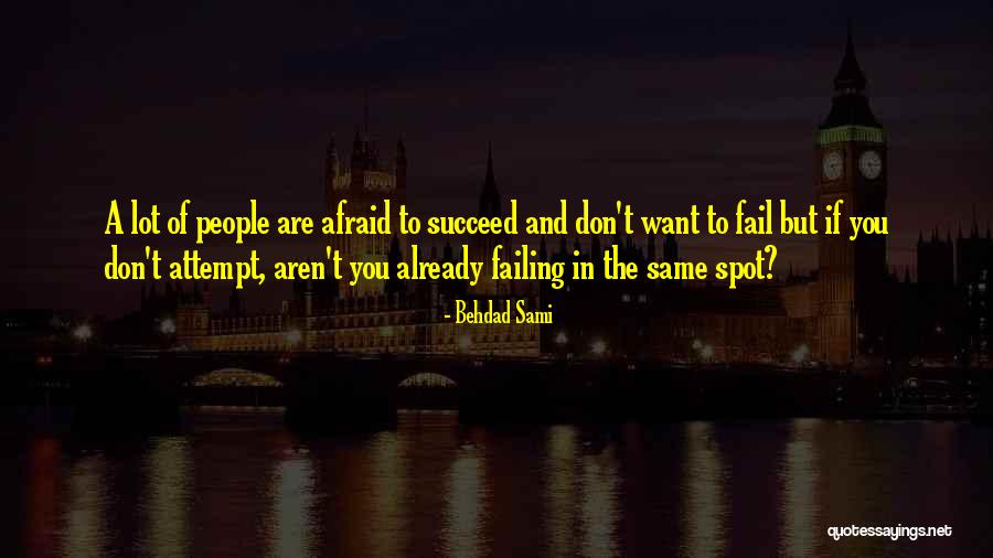 If You Want To Succeed Quotes By Behdad Sami