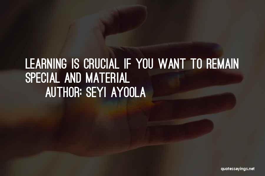 If You Want To Succeed Quotes By Seyi Ayoola