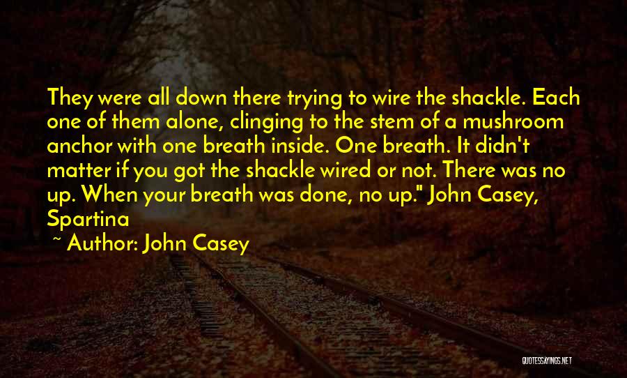 If You Were A Quotes By John Casey