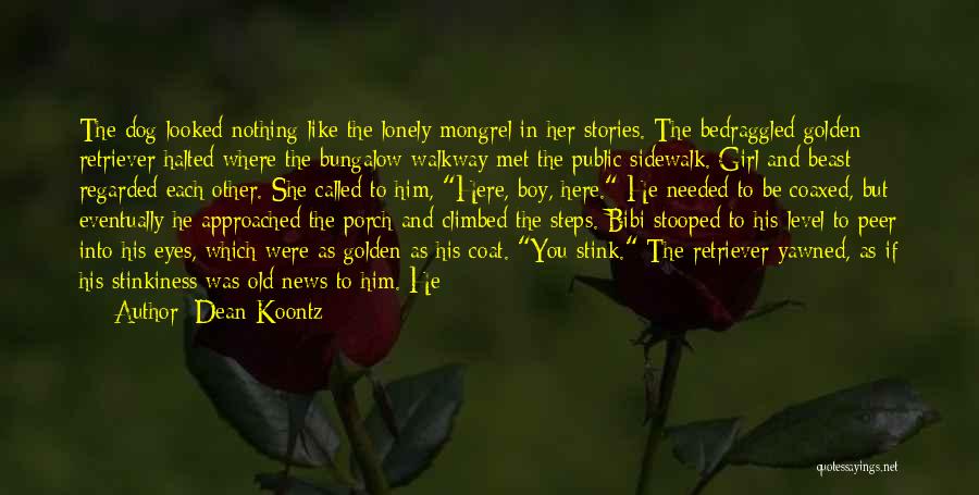 If You Were Here Quotes By Dean Koontz