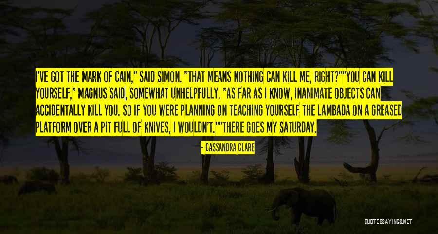 If You Were Me Quotes By Cassandra Clare If You Were Me Quotes By Cassandra Clare