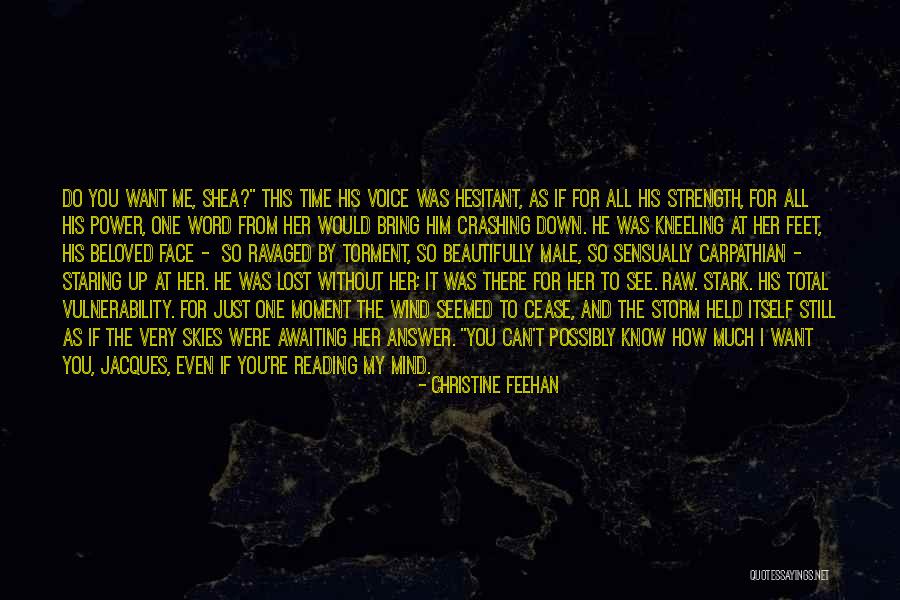 If You Were Me Quotes By Christine Feehan If You Were Me Quotes By Christine Feehan