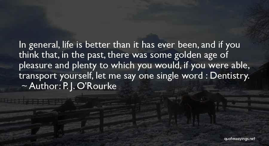 If You Were Single Quotes By P. J. O'Rourke