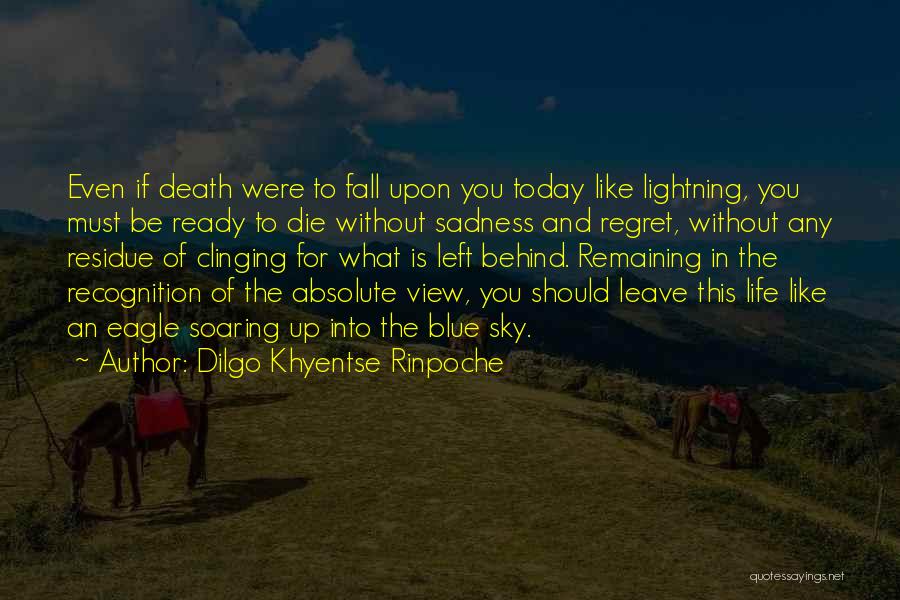 If You Were To Leave Quotes By Dilgo Khyentse Rinpoche