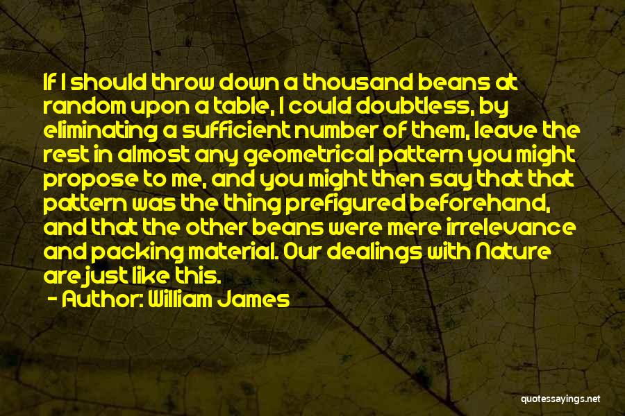 If You Were To Leave Quotes By William James