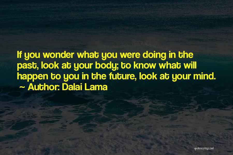 If You Wonder Quotes By Dalai Lama