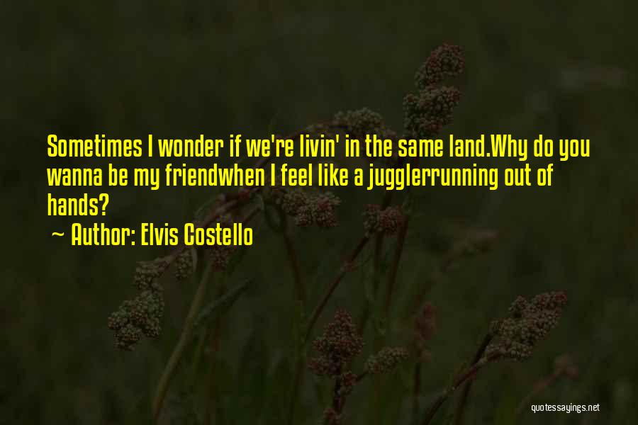 If You Wonder Quotes By Elvis Costello
