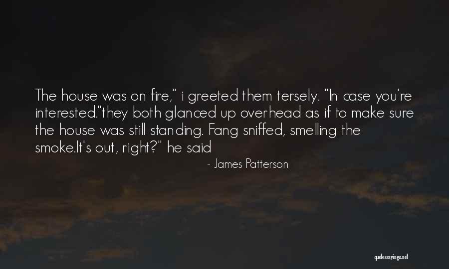 If You're Interested Quotes By James Patterson