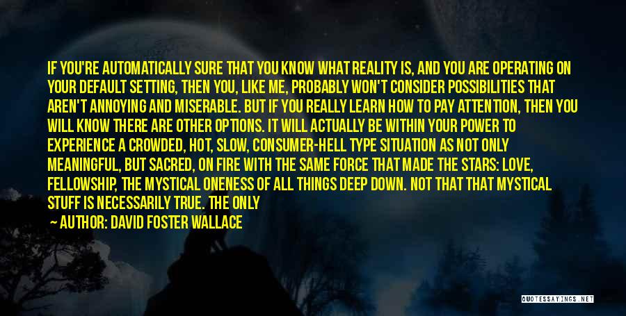 If You're Not Sure Quotes By David Foster Wallace