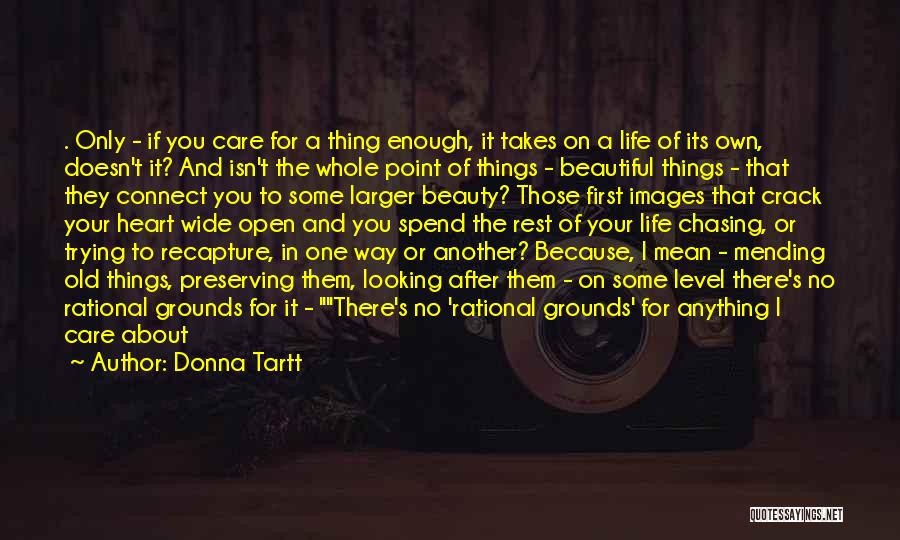 If You're The Only One Trying Quotes By Donna Tartt