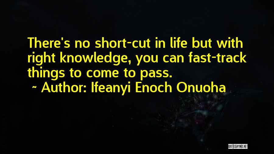 Ifeanyi Enoch Onuoha Quotes 203001