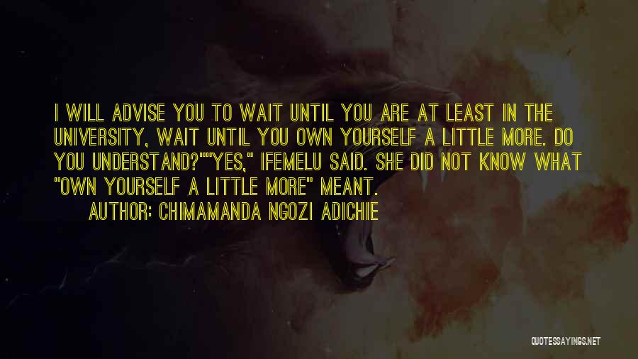 Ifemelu Quotes By Chimamanda Ngozi Adichie