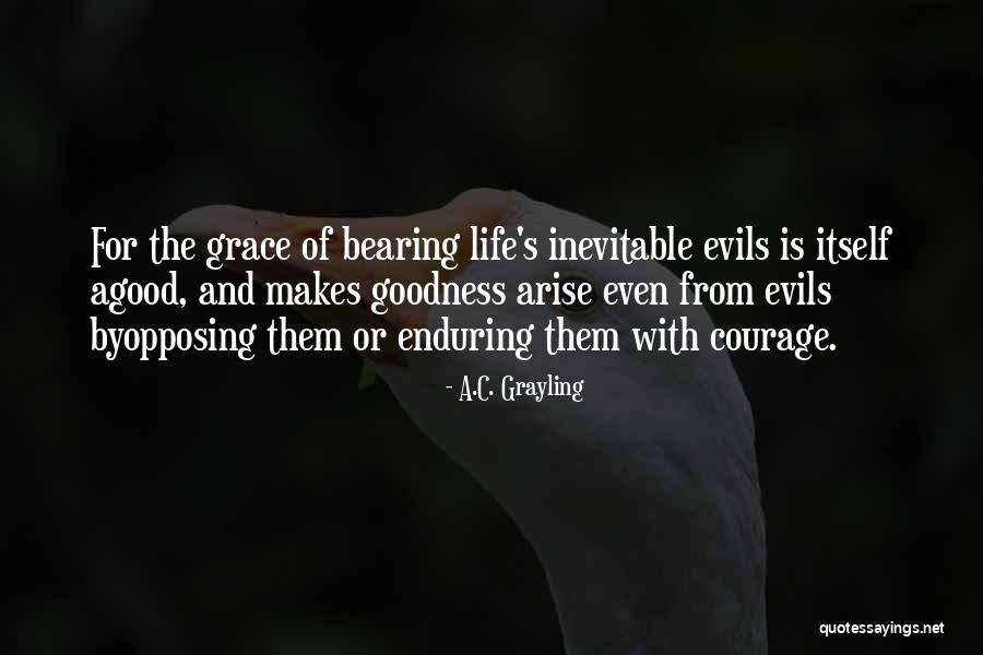 Ig Bios Quotes By A.C. Grayling Ig Bios Quotes By A.C. Grayling