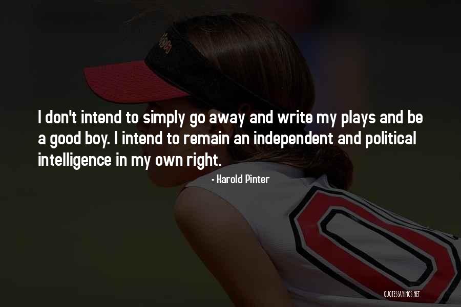 Iganga Secondary Quotes By Harold Pinter