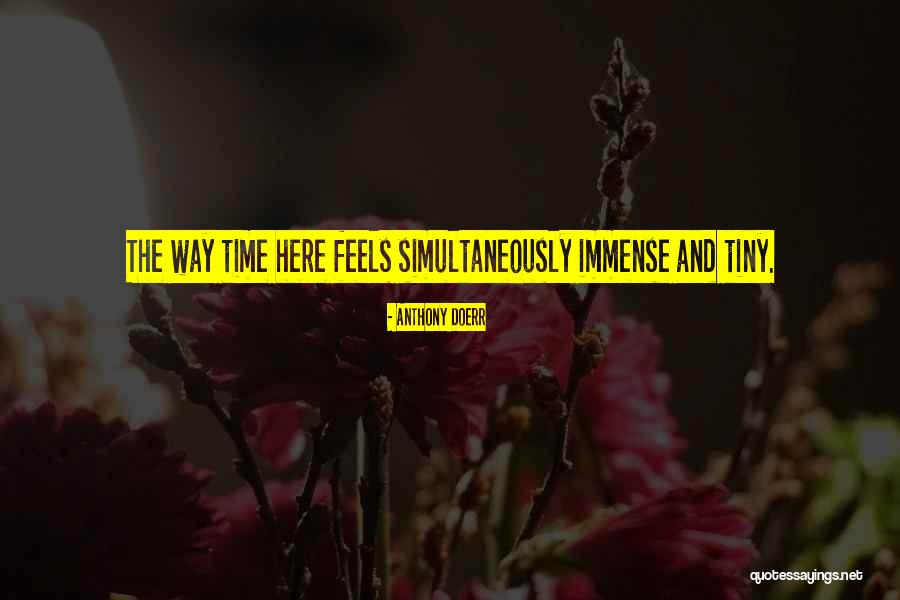 Igbinedion And Wife Quotes By Anthony Doerr Igbinedion And Wife Quotes By Anthony Doerr