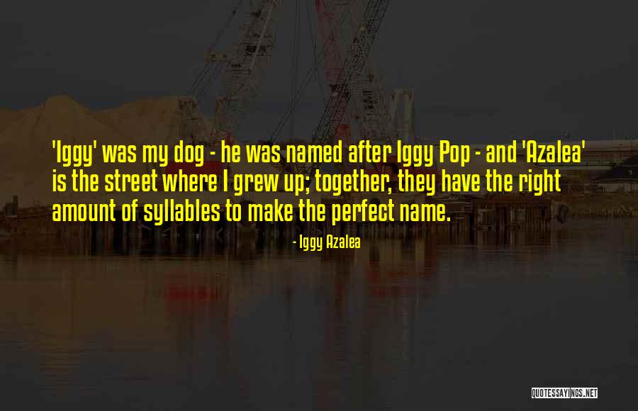 Iggy Azalea Quotes 1561012 Iggy Azalea Quotes 1561012