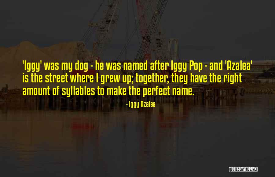 Iggy Azalea Quotes 1561012