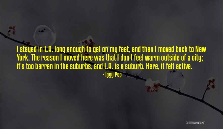 Iggy Pop Quotes 119901