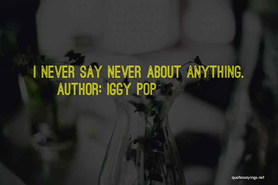 Iggy Pop Quotes 1246303