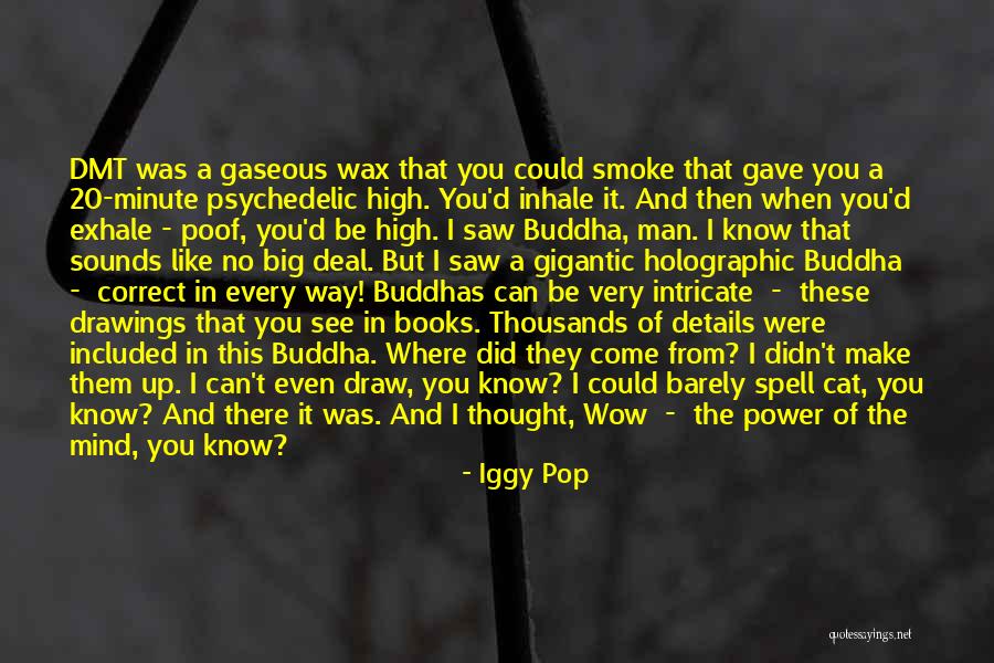 Iggy Pop Quotes 1516871