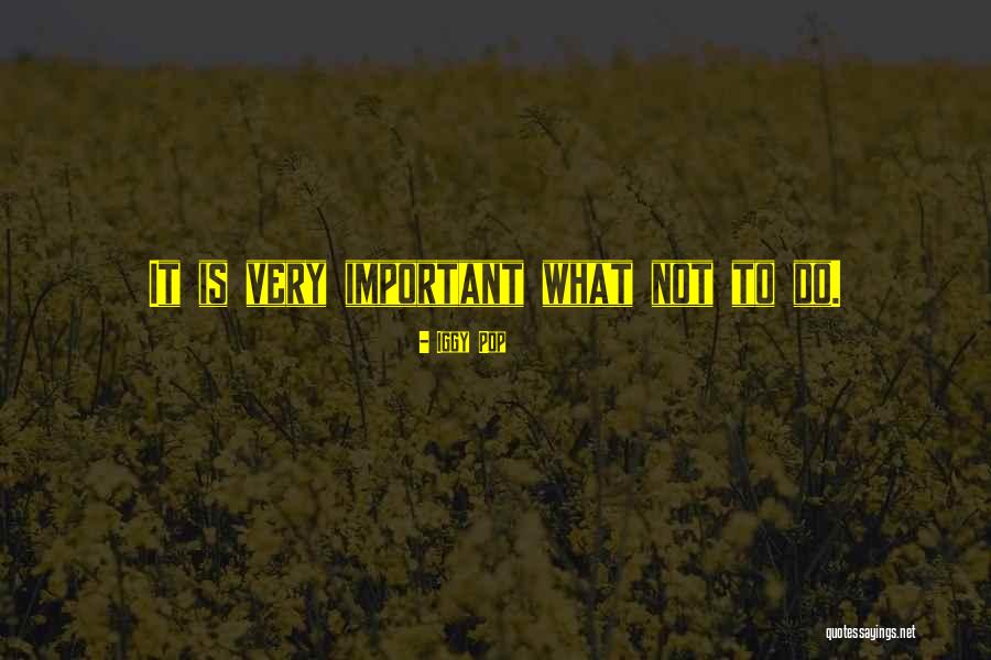 Iggy Pop Quotes 1719419 Iggy Pop Quotes 1719419