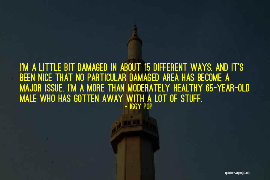 Iggy Pop Quotes 1853225 Iggy Pop Quotes 1853225