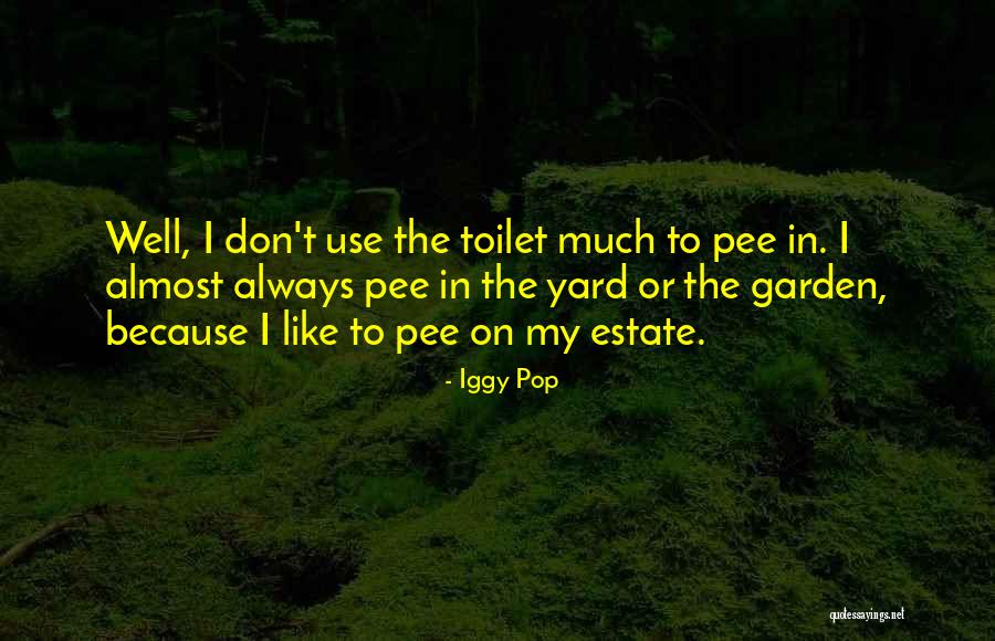 Iggy Pop Quotes 2164543