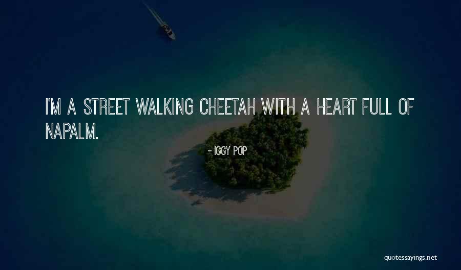 Iggy Pop Quotes 273112 Iggy Pop Quotes 273112