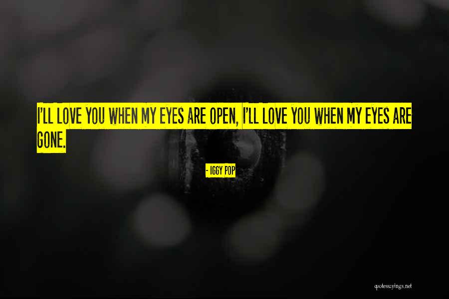 Iggy Pop Quotes 382815 Iggy Pop Quotes 382815